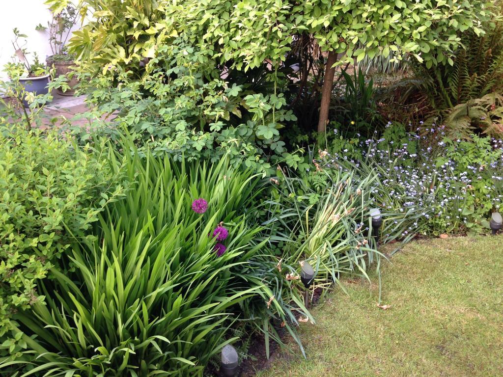 Willow Cottage B&B Yeadon Buitenkant foto