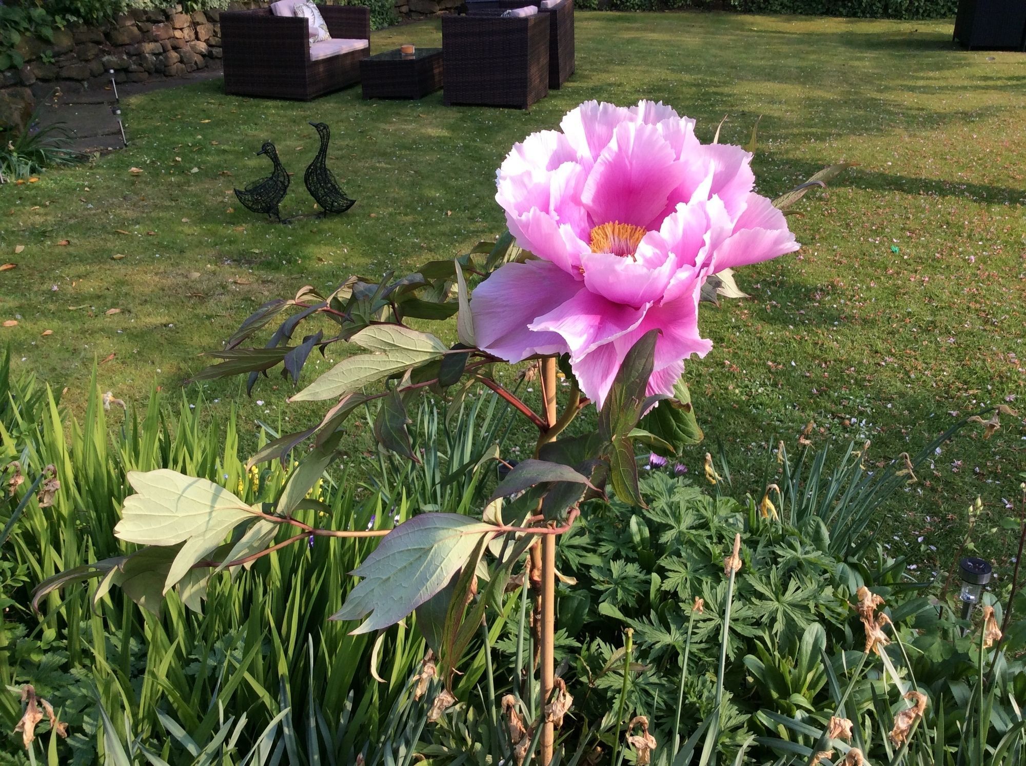 Willow Cottage B&B Yeadon Buitenkant foto